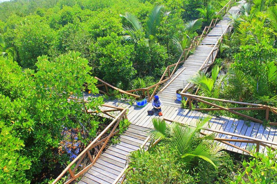 Hutan Mangrove Kampung Laut Cilacap
